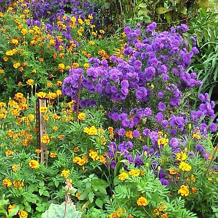 Escape Near Cinque Terre *