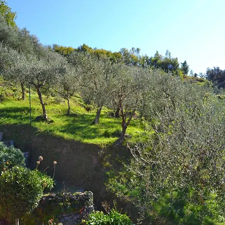 Escape Near Cinque Terre *