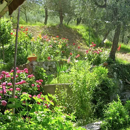 Escape Near Cinque Terre