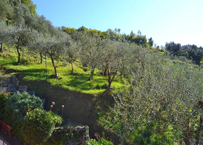 Escape Near Cinque Terre *