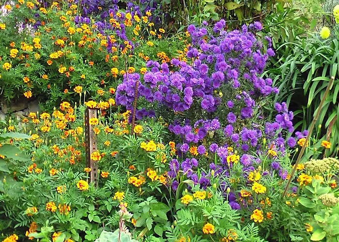 Escape Near Cinque Terre *
