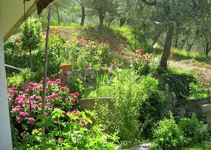 Escape Near Cinque Terre